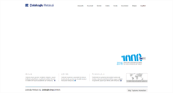 Desktop Screenshot of colakoglu.com.tr